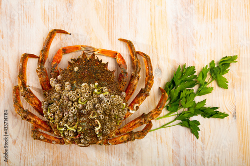 Fresh spiny spider crab on wooden background. Seafood delicacy..