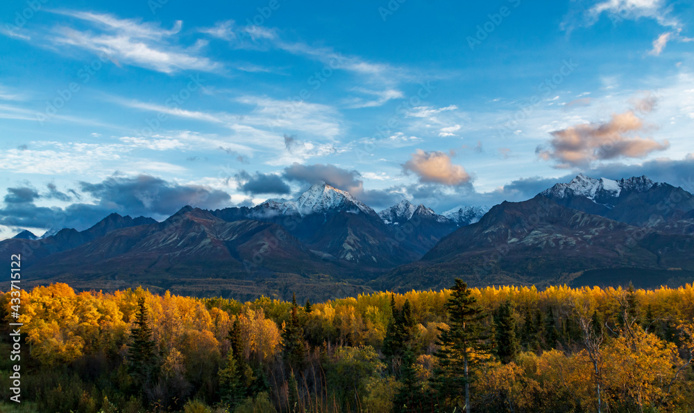 dramatic landscape of golden yellow autumn foliage of aspen and birch trees and snowcapped  mountains of the Chugach mountain range in Alaska.
