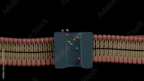 Ions and substances is passing through bilayer cell membrane channel (3D Rendering)