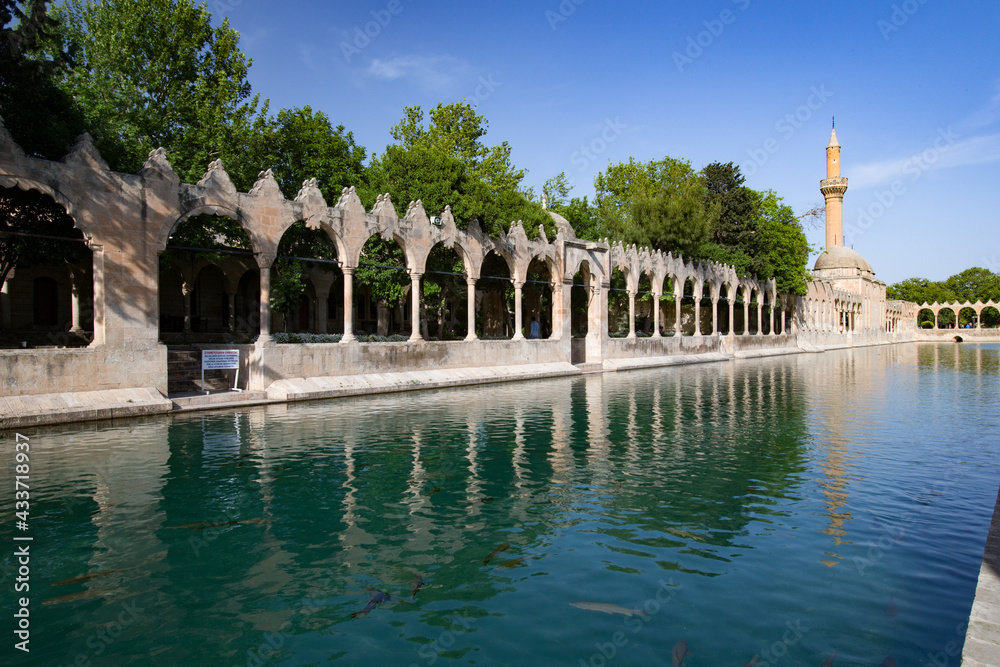 トルコ 聖なる魚の池