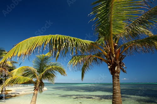 San Pedro island Belize Caribbean