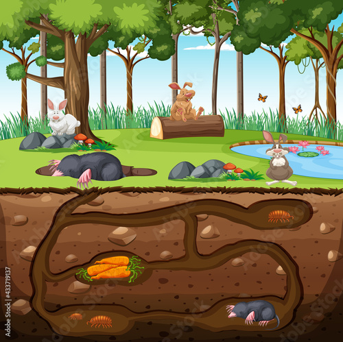 Underground animal burrow with mole family