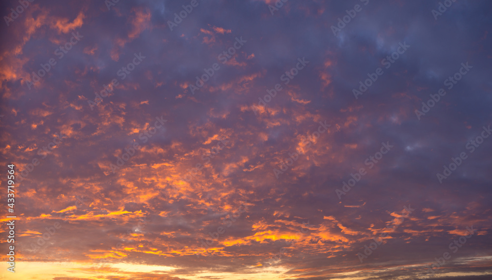 red sky background with tiny clouds.
