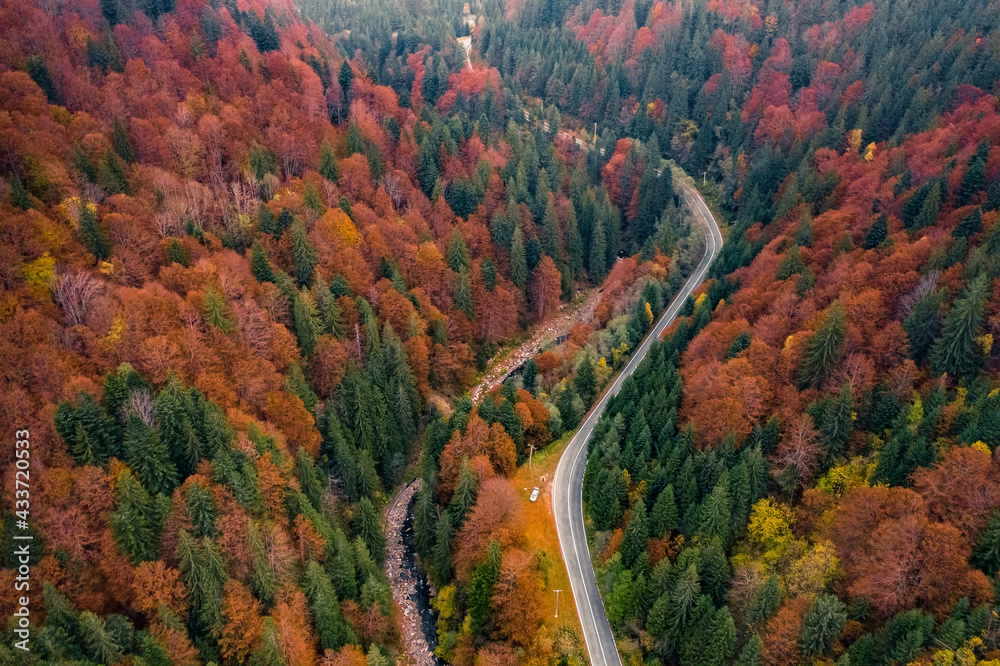 Picturesque autumn forest with highway going along it Picturesque autumn forest with highway going along it
