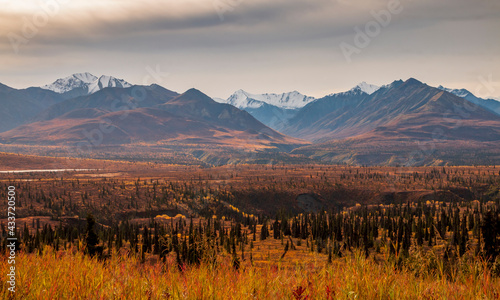 dramatic landscape of golden yellow autumn foliage of aspen and birch trees and snowcapped  mountains of the Chugach mountain range in Alaska. photo