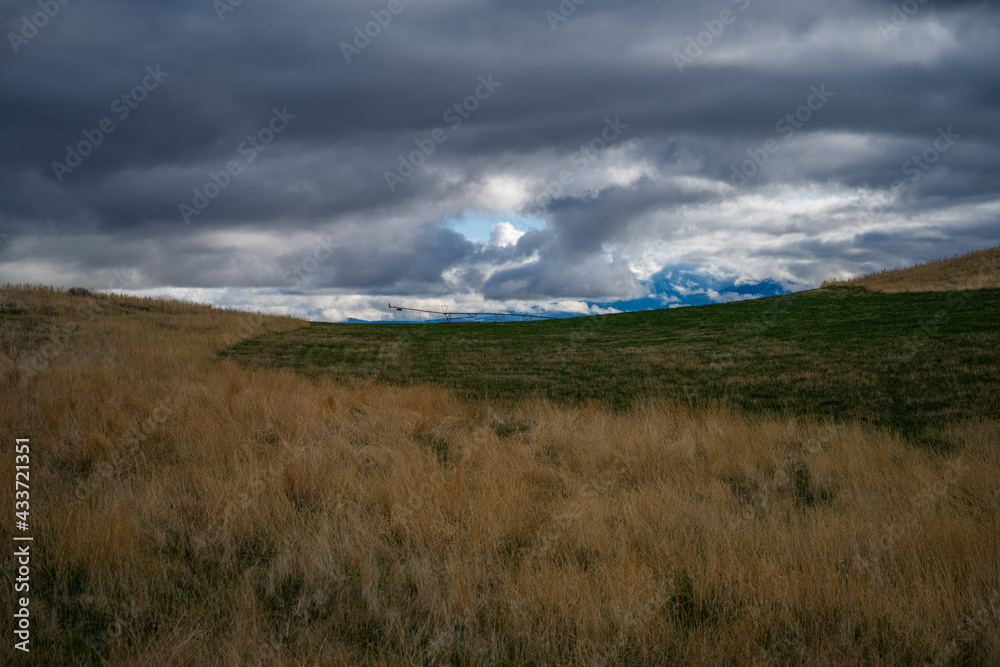 2021-05-10 GRASS MEADOW WITH CLOUDY SKIES NEAR PRAY MONTANA