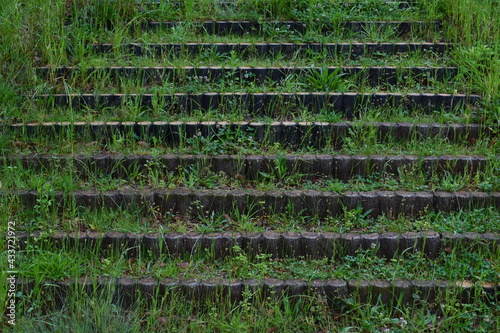 Weeded park stairs