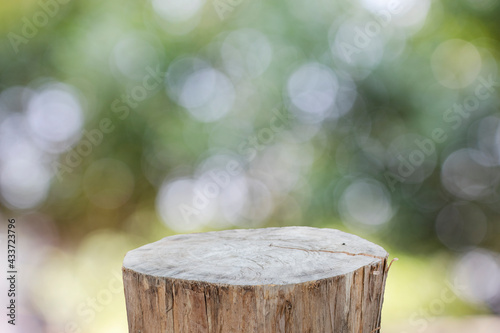 Beautiful texture of old tree stump table top on blur green garden farm background.For create product display or design key visual layout.