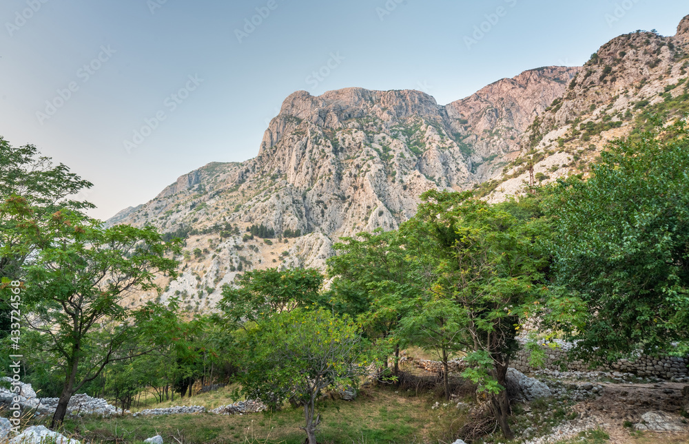 Lovcen Mountain surrounded by beautiful green trees and blue sky, Kotor,Montenegro.