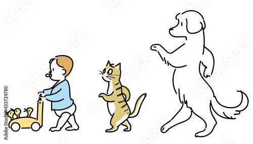 ウォーキングする赤ちゃんと猫と犬