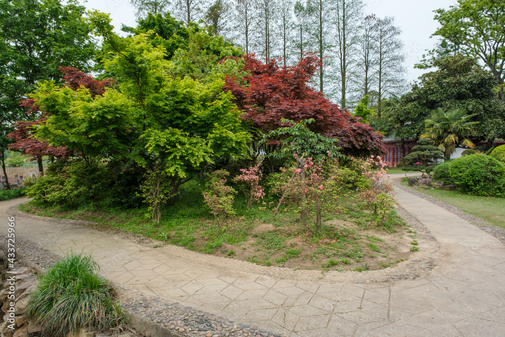 Obraz premium Early spring scenery of Moshan Bonsai Garden in East Lake, Wuhan, Hubei