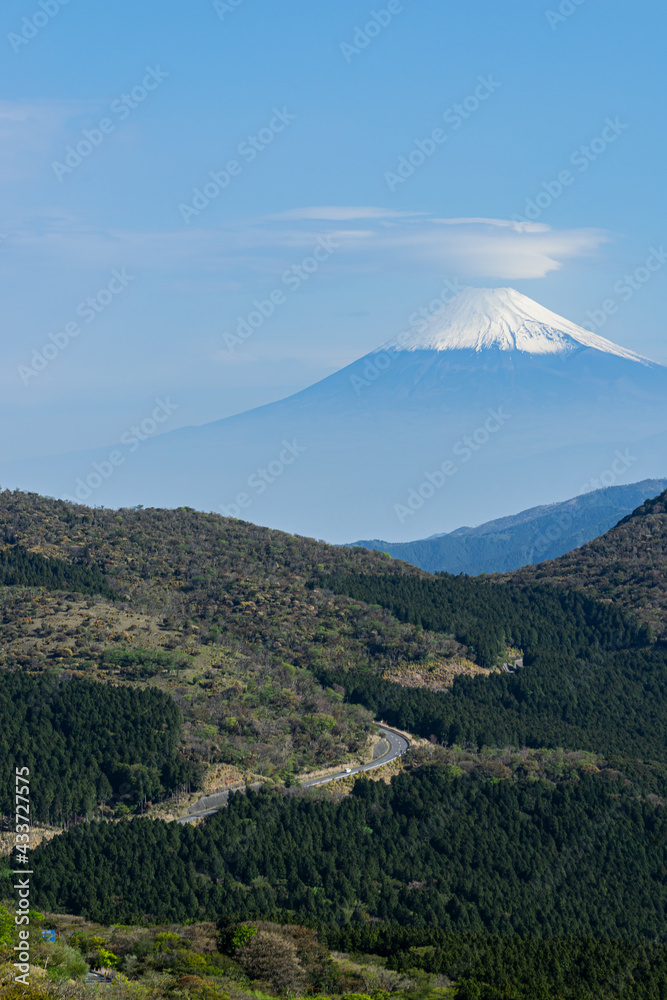 笠雲をさした富士山 (日本 - 静岡 - 達磨山)
