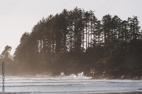 Beautiful scenery of a Pacific Rim National Park Reserve in Bamfield, Canada photo