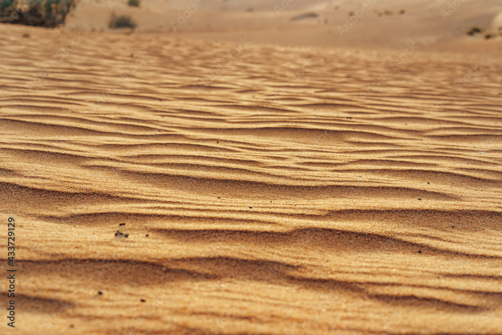 Fototapeta premium Wavy sand texture in Dubai desert close up