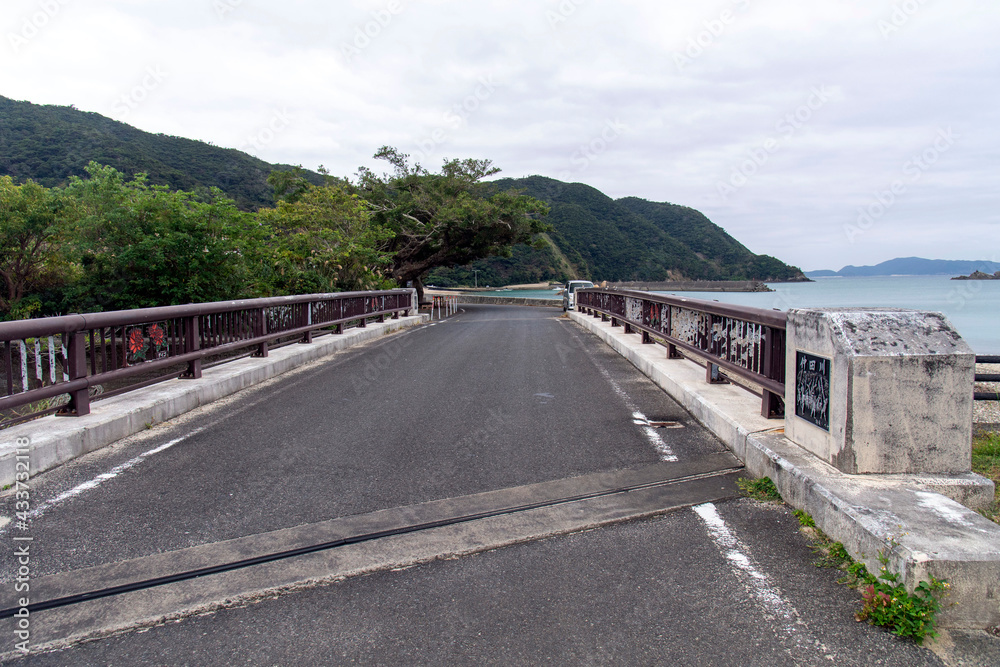 Obraz premium 奄美群島 加計呂麻島の諸鈍デイゴ橋