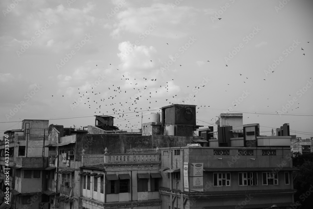 Ahmedabad, Gujarat, india
