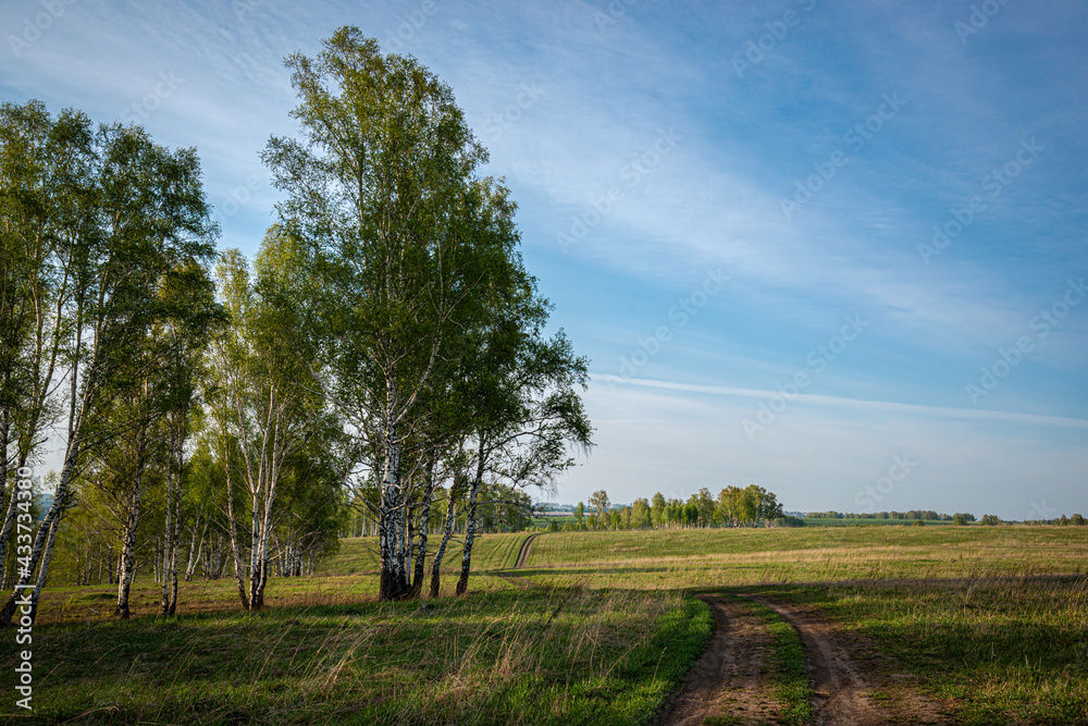 landscape of the autumn forest landscape of the autumn forest