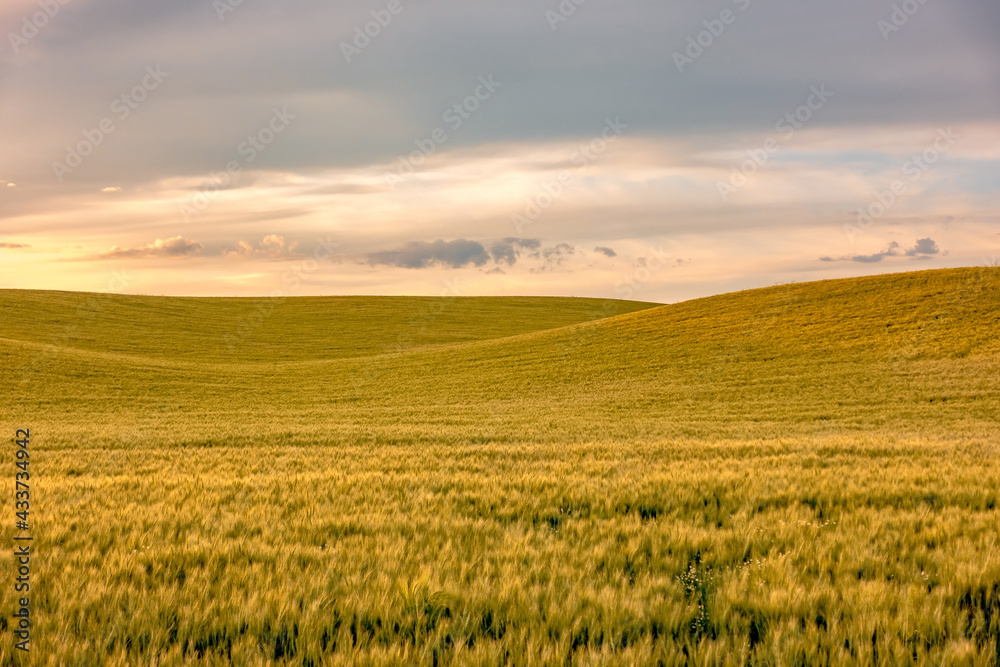 Rolling hills and Farm Land at palouse washington