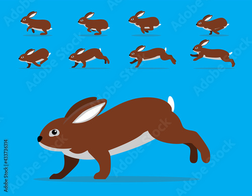 Animal Animation Sequence Rabbit Belgian Hare Cartoon Vector