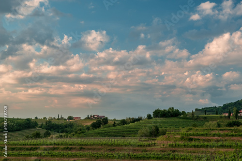 Spring stormy sunset in the vineyards of Collio Friulano  Friuli-Venezia Giulia  Italy