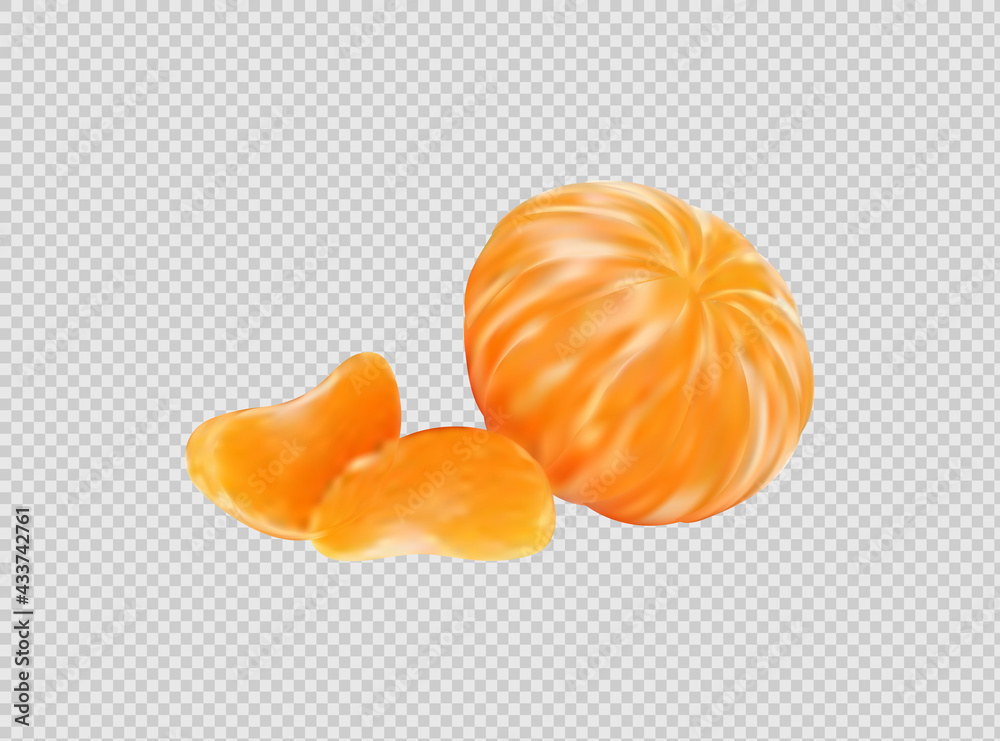 Vector collection of fresh ripe oranges and tangerines with leaves.
