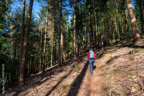 Felsenweg im Schwarzwald bei Ottenhöfen.