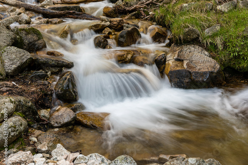 mountain stream  in the spring