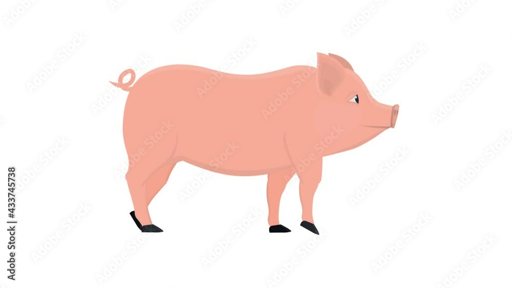Pig. Animal pig animation, alpha channel enabled. Cartoon Pig. Animal pig animation, alpha channel enabled. Cartoon