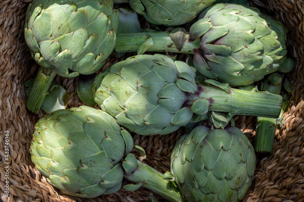 Obraz premium Fresh ripe green artichokes heads ready to cook