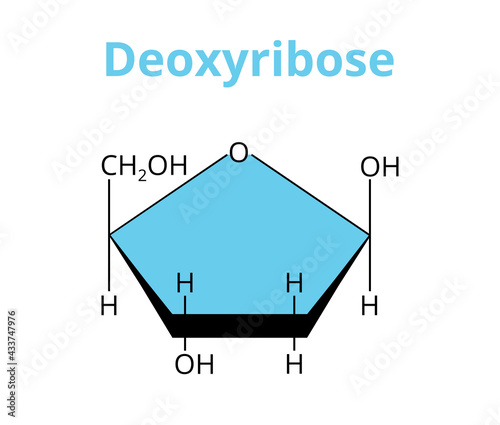 2D vector molecular structure of the monosaccharide deoxyribose, deoxy sugar, carbohydrate. The structural formula of 2-deoxyribose isolated on white. Component of DNA, precursor to the nucleic acid.