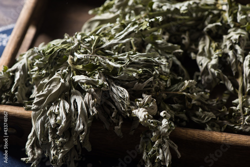 dried wormwood herb or Chinese mugwort photo