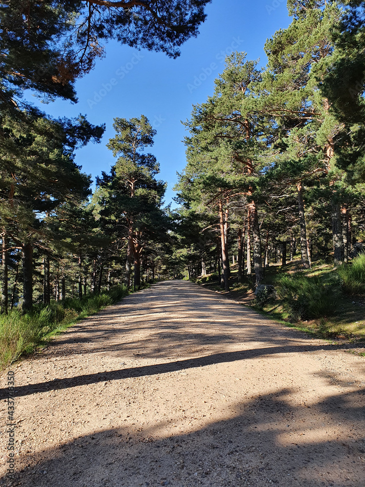 Hiking trail in the Barranca area in Navacerrada, Madrid, Spain Hiking trail in the Barranca area in Navacerrada, Madrid, Spain