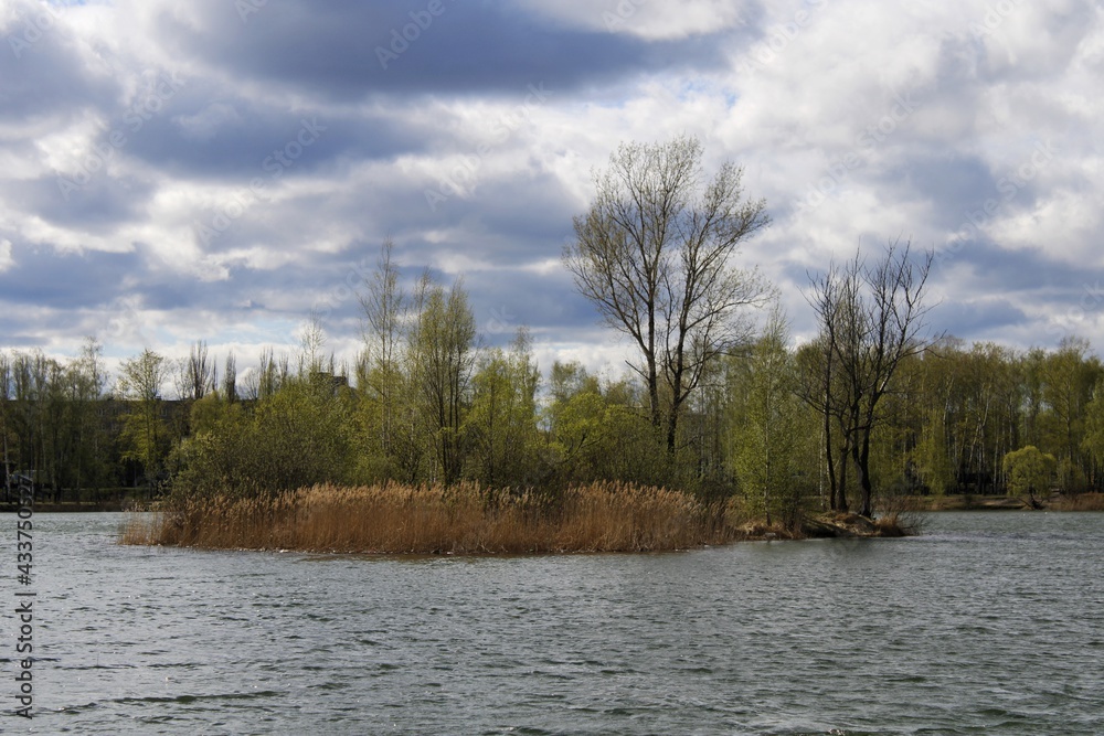 lake in the woods