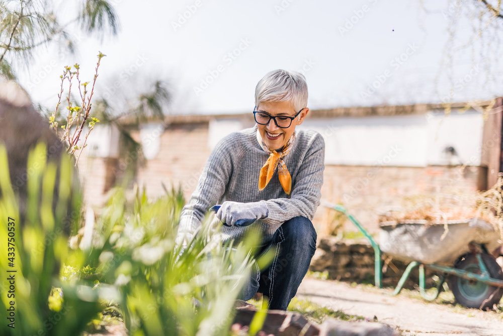 Smiling retired woman pulling the weeds in the garden, doing spring clean up. Smiling retired woman pulling the weeds in the garden, doing spring clean up.
