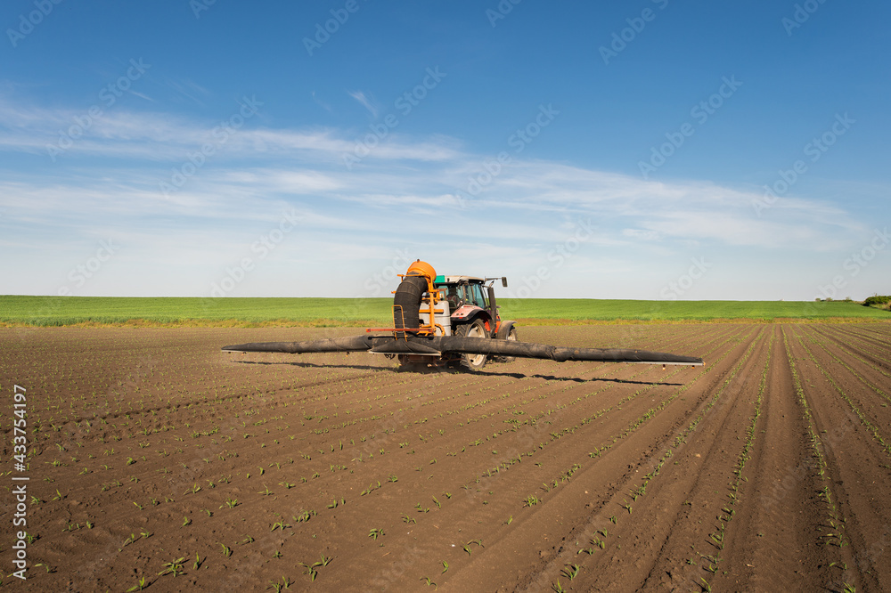 Obraz premium Tractor spraying corn field