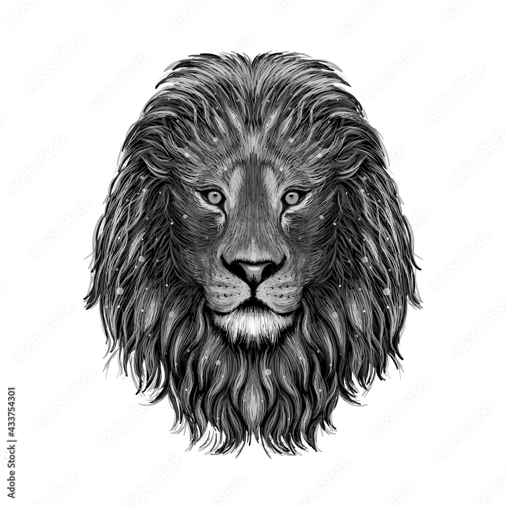 Lion. Black and white, graphic, hand-drawn portrait of a lion looking ahead on a black background. King head isolated on black background.
