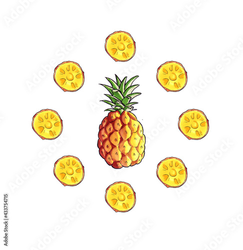 Pineapple and rings circle composition