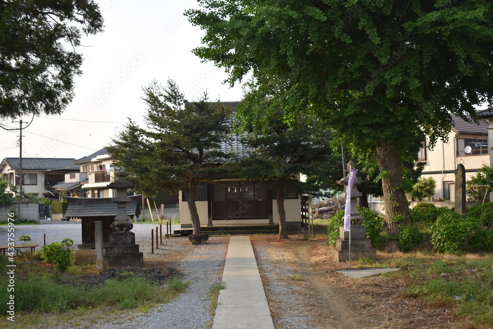日本　埼玉　鷲宮神社　上野田　5月の風景