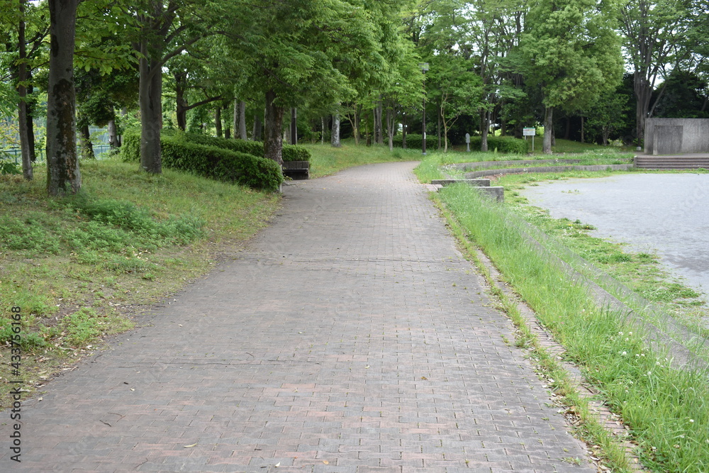 日本　埼玉　高岩公園　5月の風景