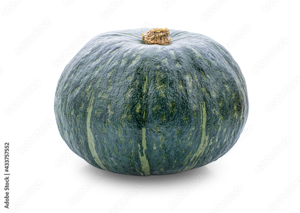 Green pumpkin isolated on the white background . Green pumpkin isolated on the white background .
