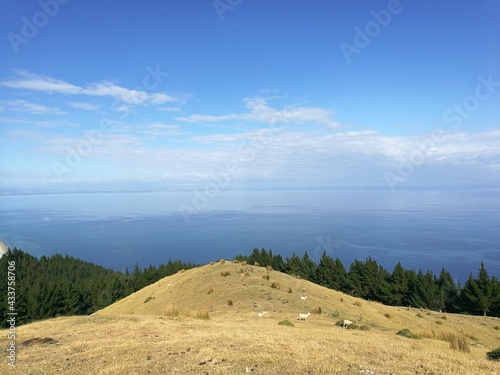 hiking trail from Glenduan to Cable bay, walkaway, hike with view on beautiful landscape and the sea, New Zealand, South Island Beschreibung photo