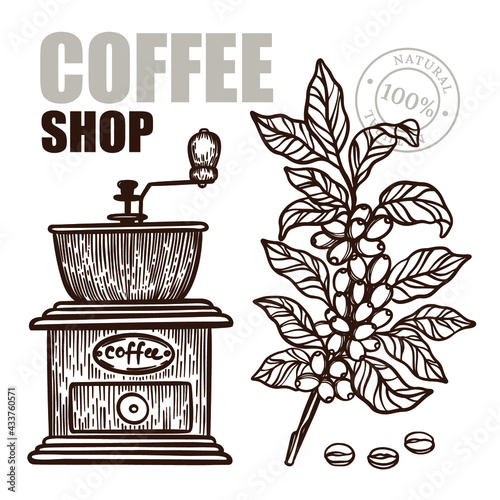 COFFEE MILL And Coffee Branch Design Of Stickers And Labels For Shop Of Dessert Drink Products In Vintage Style Hand Drawn Vector Illustration Set For Print