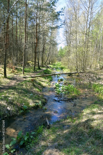 Rzeka Biała Przemsza, Pustynia Błędowska, Małopolski Park Krajobrazowy Orlich Gniazd