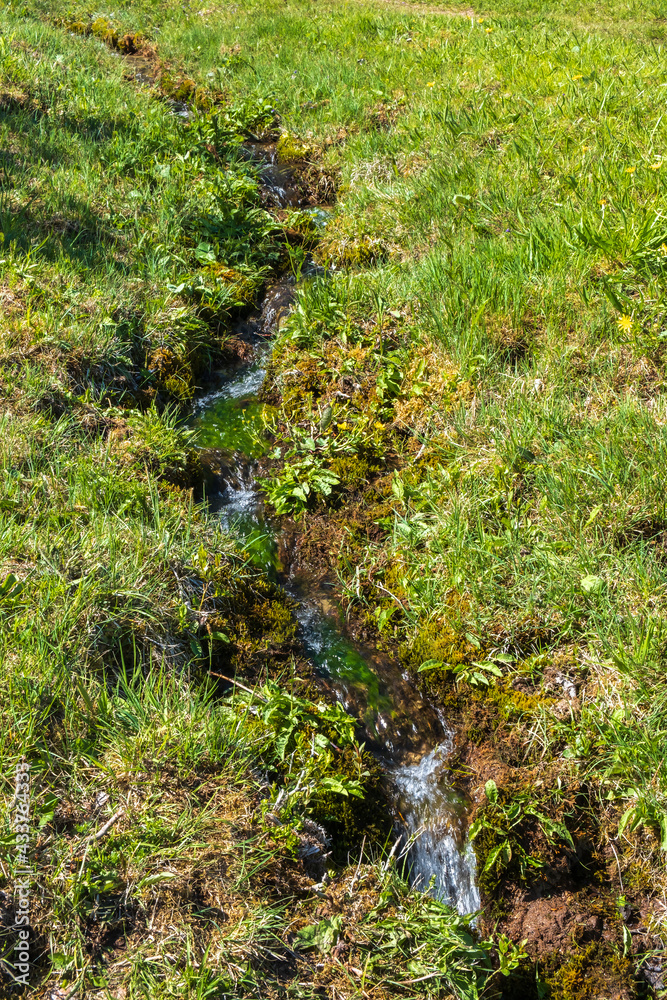 Fototapeta premium Stream on a grass meadow with running water