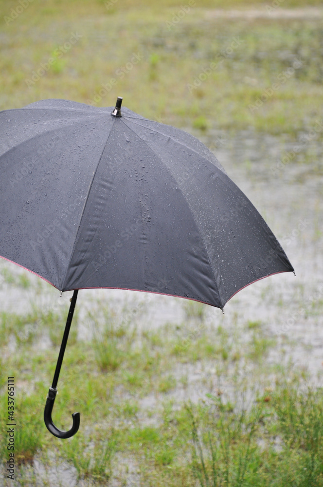 雨に濡れた撥水加工の黒い雨傘