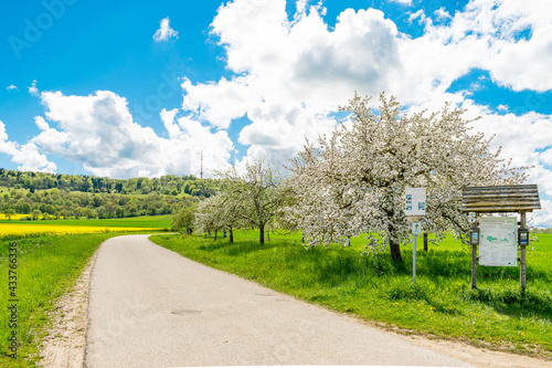 Am Fuße des Hesselbergs befindet sich eine Streuobstwiese bei Ehingen. Im Frühjahr stehen die Bäume in voller Blüte. Der Hesselberg ist eine Erhebung in Mittelfranken (Bayern Deutschland). photo