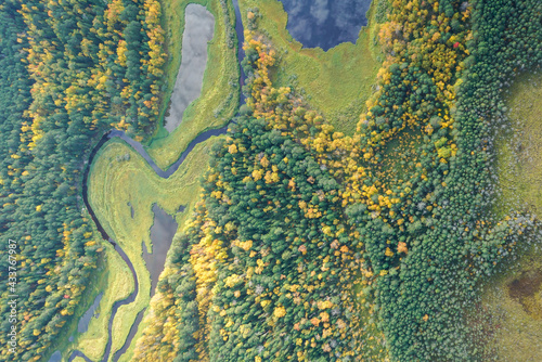 Landscapes of wild taiga in cold Russian Siberia
