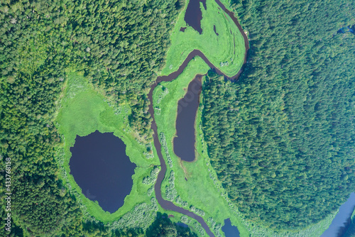 Landscapes of wild taiga in cold Russian Siberia