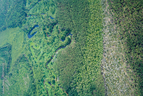 Landscapes of wild taiga in cold Russian Siberia