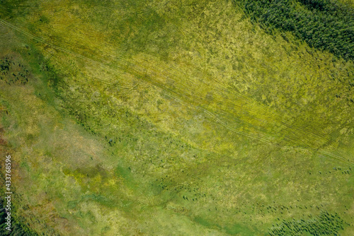 Landscapes of wild taiga in cold Russian Siberia